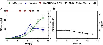 Engineering the methylotrophic yeast Ogataea polymorpha for lactate production from methanol